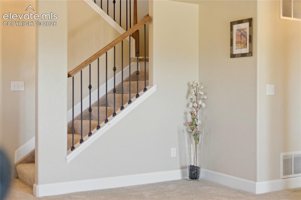 13036 Cupcake Heights Colorado Springs CO 80921