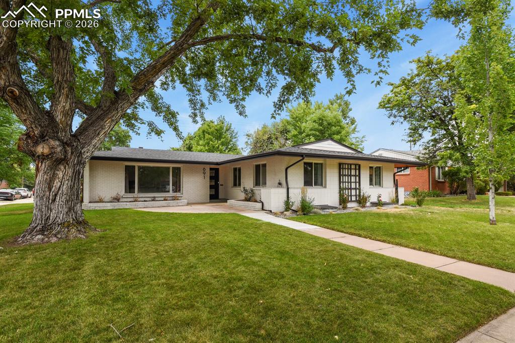 691 S Holly Street Denver CO 80246
