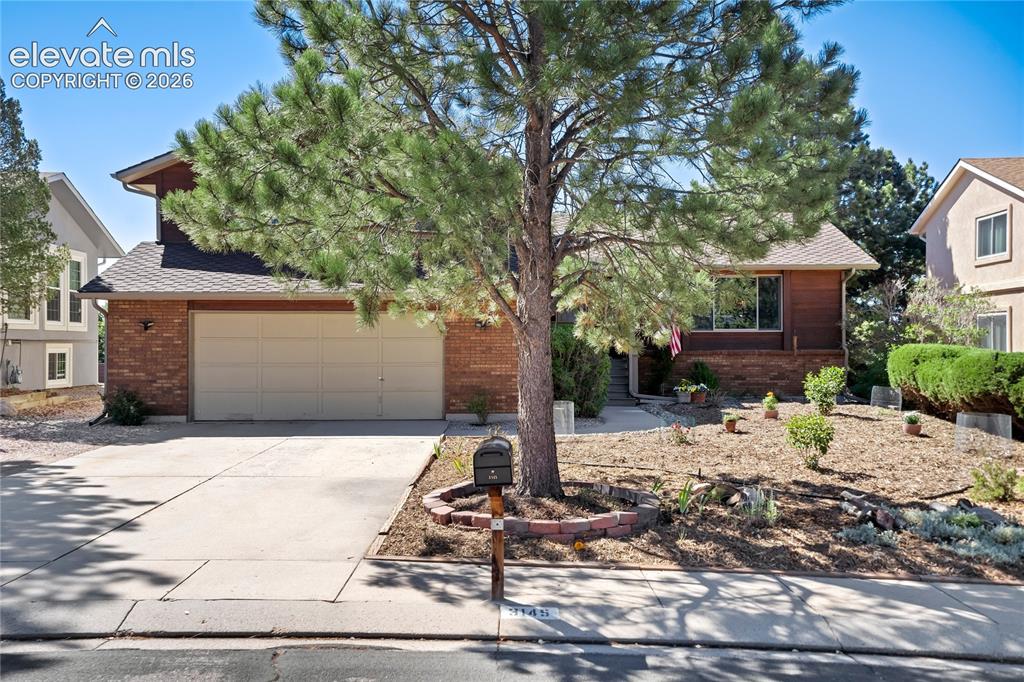 3145 Windjammer Drive Colorado Springs CO 80920