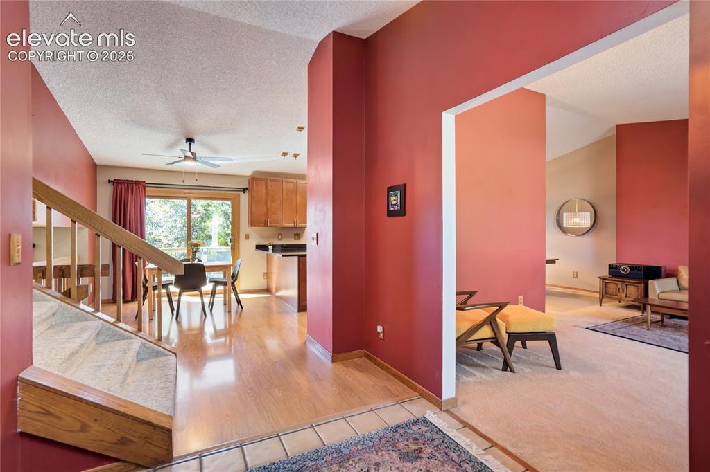 3145 Windjammer Drive Colorado Springs CO 80920
