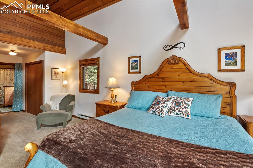 381 Saddleback Creek Drive Florissant CO 80816
