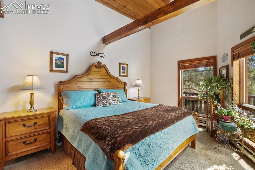 381 Saddleback Creek Drive Florissant CO 80816