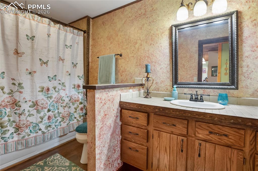 381 Saddleback Creek Drive Florissant CO 80816