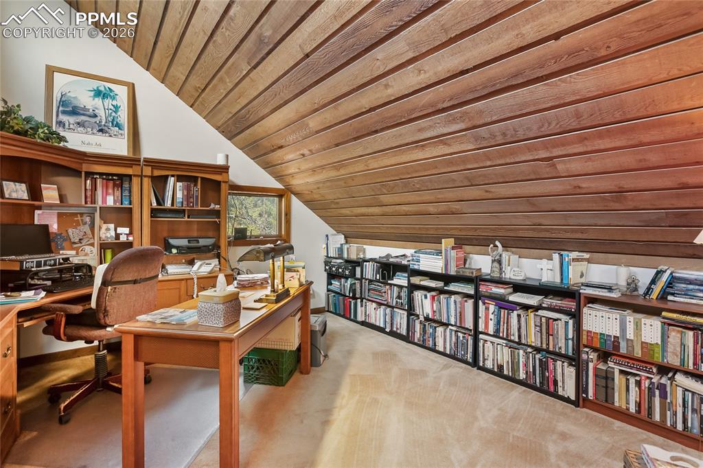 381 Saddleback Creek Drive Florissant CO 80816