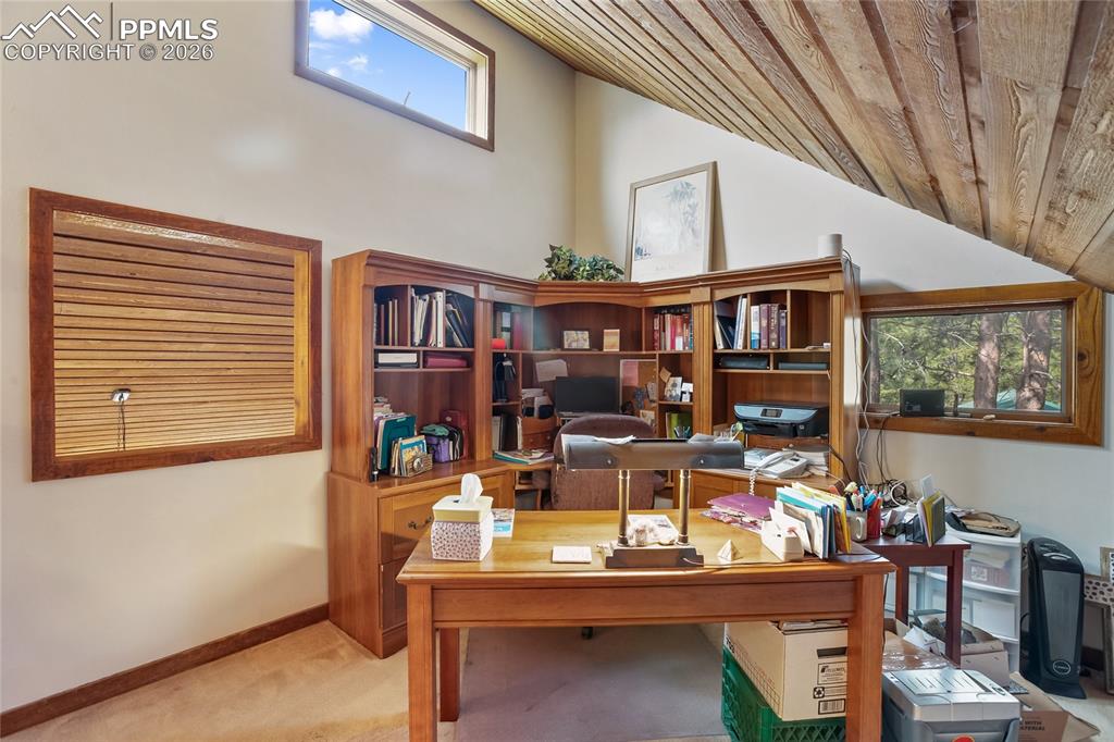 381 Saddleback Creek Drive Florissant CO 80816