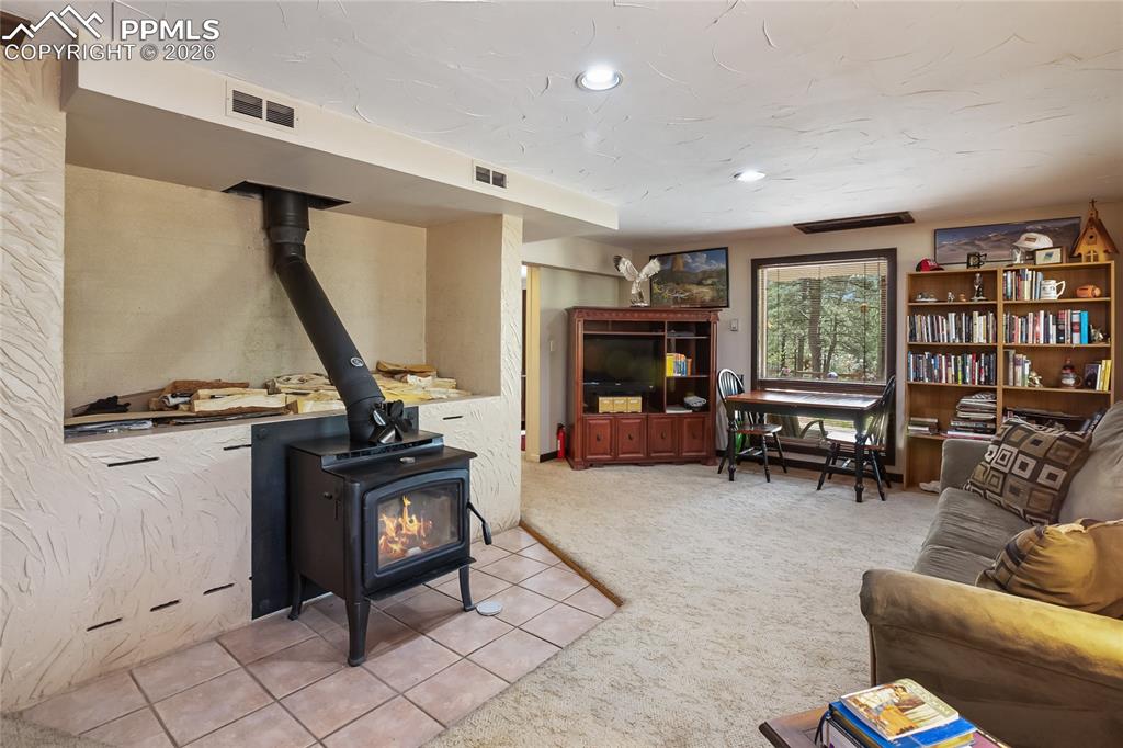 381 Saddleback Creek Drive Florissant CO 80816