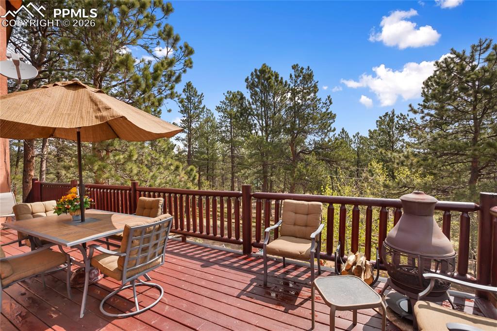 381 Saddleback Creek Drive Florissant CO 80816