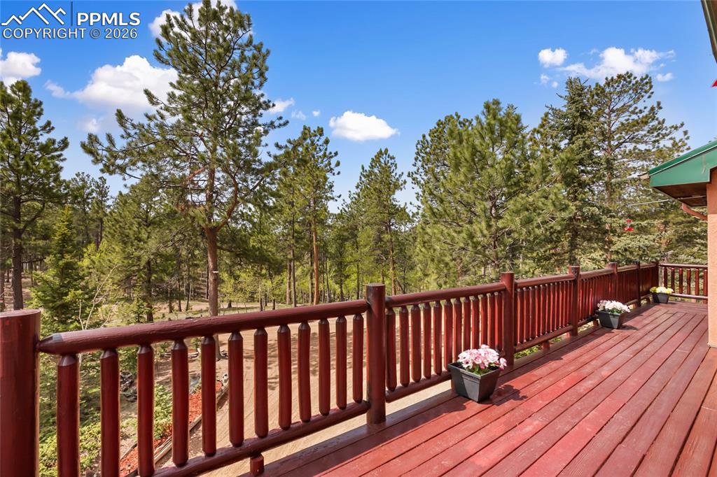 381 Saddleback Creek Drive Florissant CO 80816