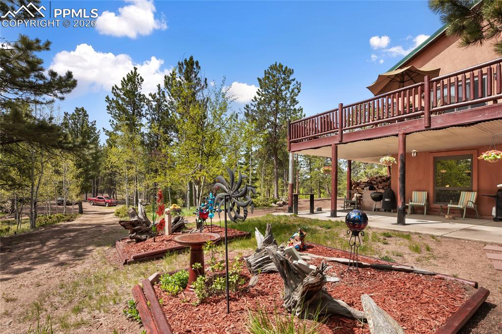 381 Saddleback Creek Drive Florissant CO 80816