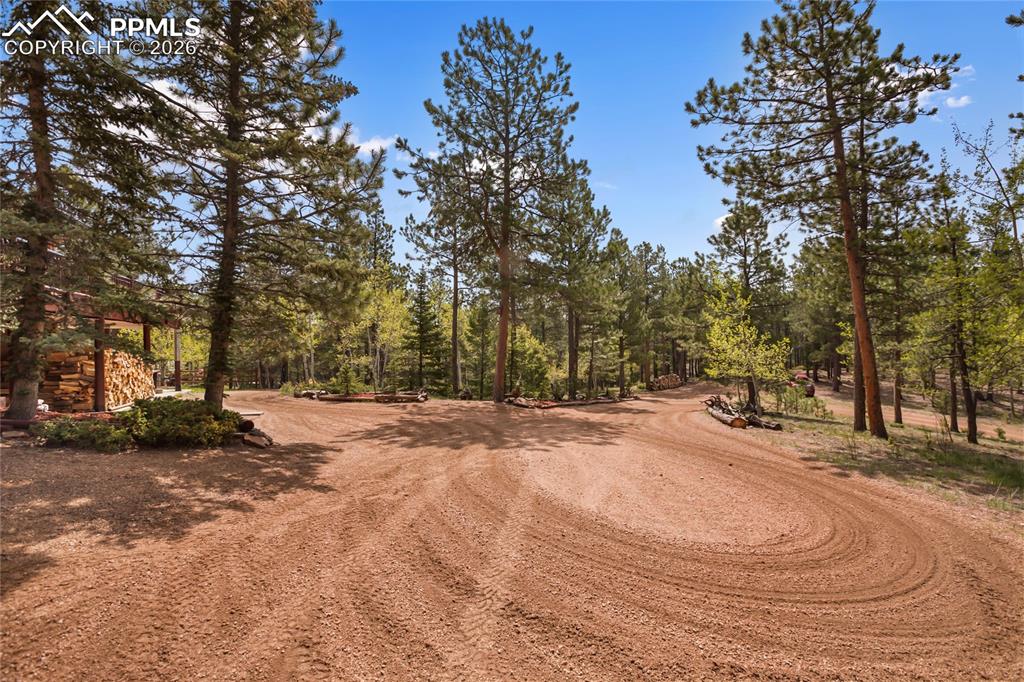 381 Saddleback Creek Drive Florissant CO 80816