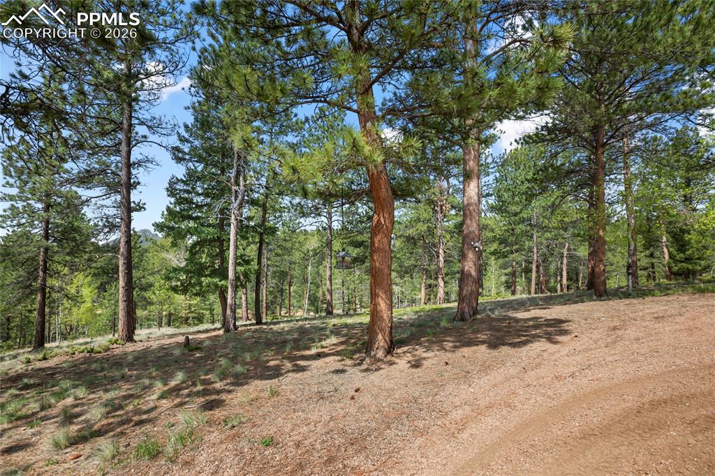 381 Saddleback Creek Drive Florissant CO 80816