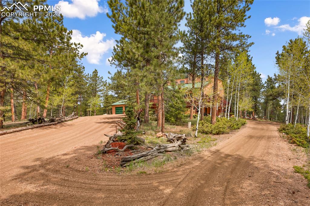 381 Saddleback Creek Drive Florissant CO 80816