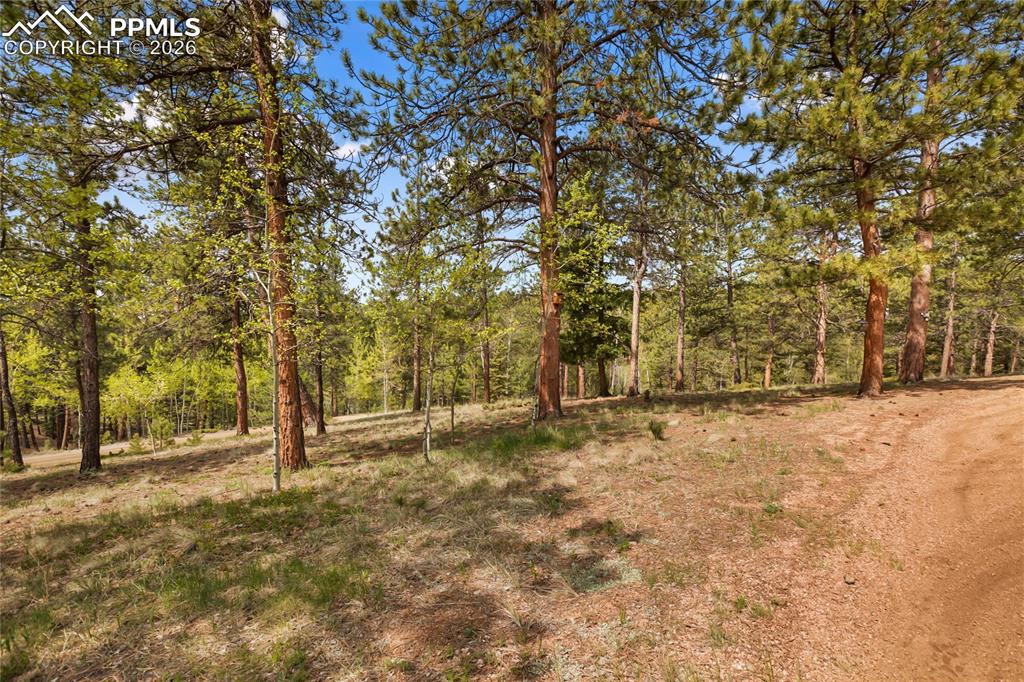381 Saddleback Creek Drive Florissant CO 80816