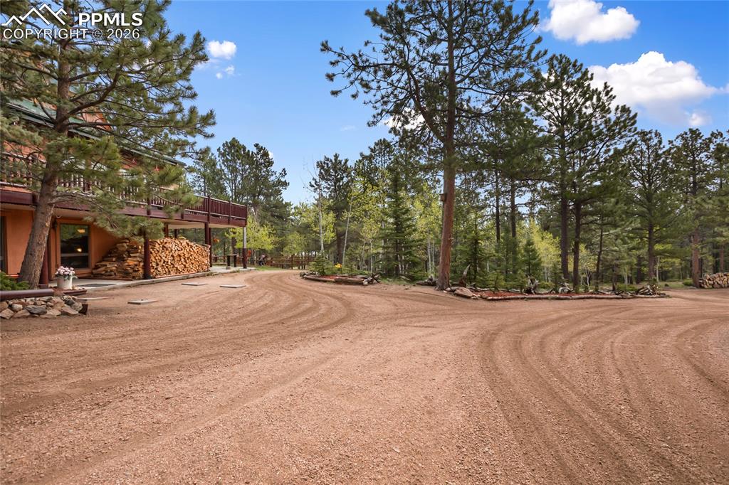 381 Saddleback Creek Drive Florissant CO 80816
