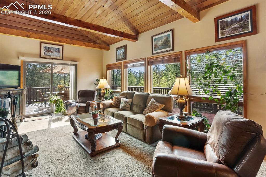 381 Saddleback Creek Drive Florissant CO 80816