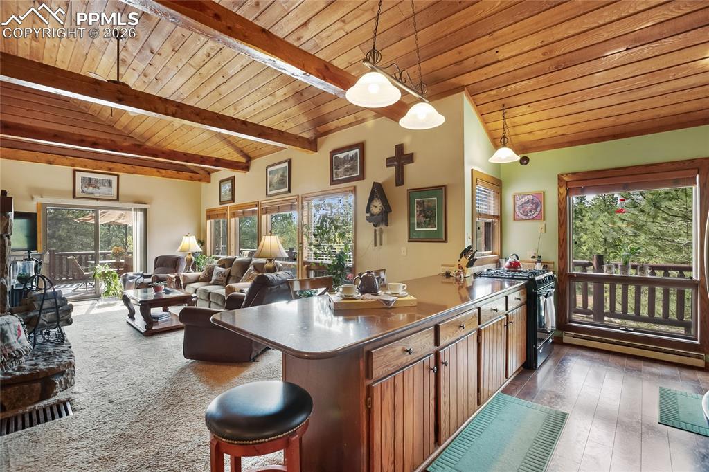 381 Saddleback Creek Drive Florissant CO 80816