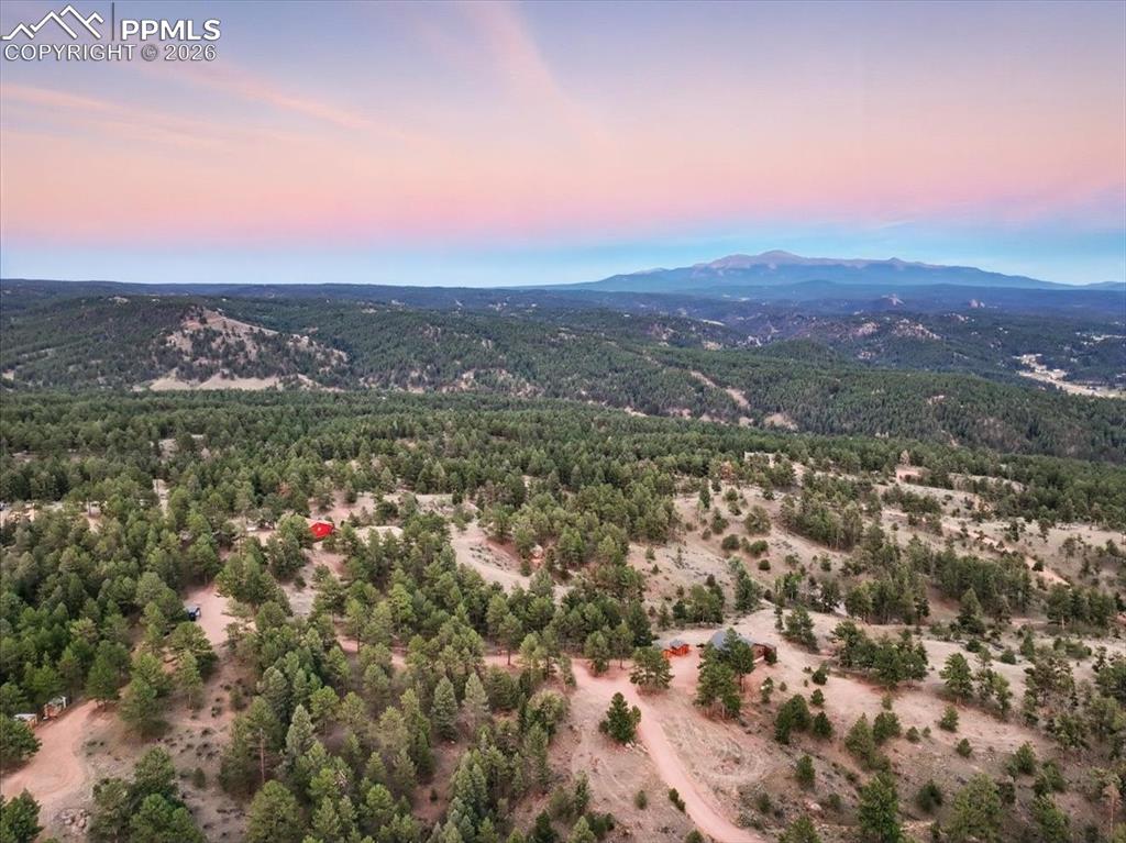 1721 Wildhorn Road Florissant CO 80816
