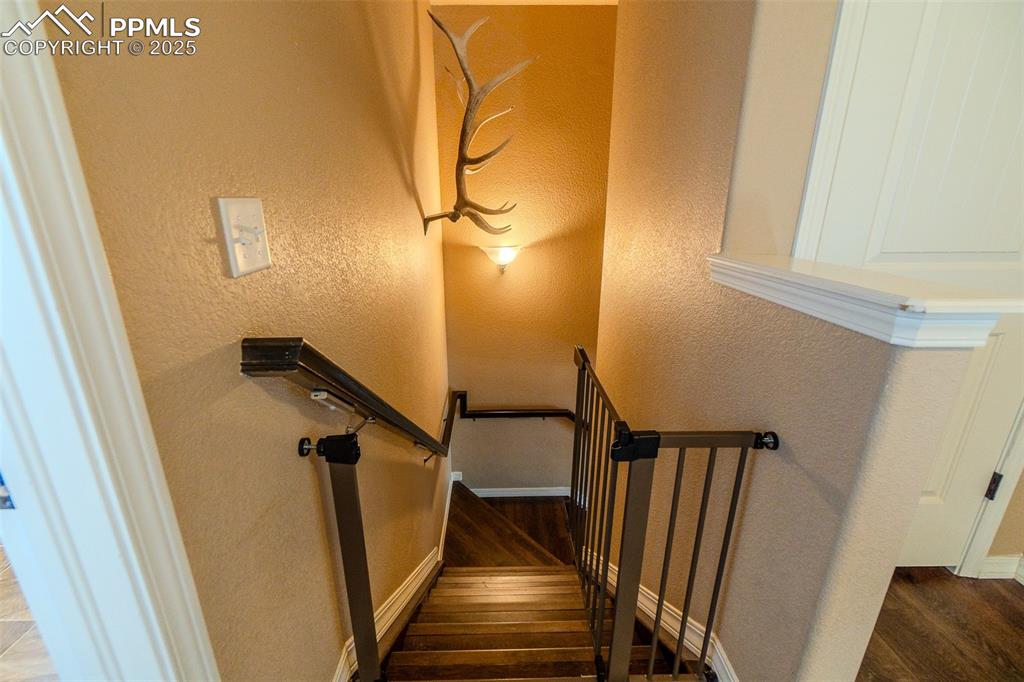 4027 Silver Star Grove Colorado Springs CO 80911