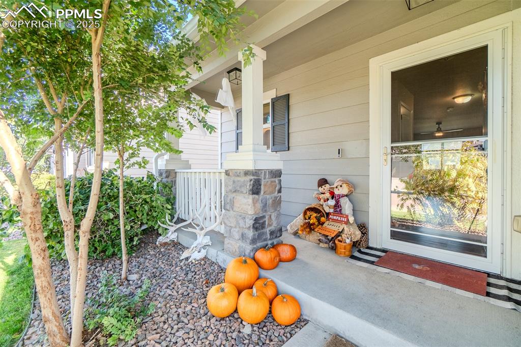 4027 Silver Star Grove Colorado Springs CO 80911