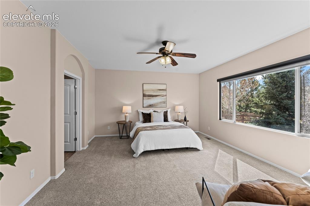 6167 Leon Young Drive Colorado Springs CO 80924