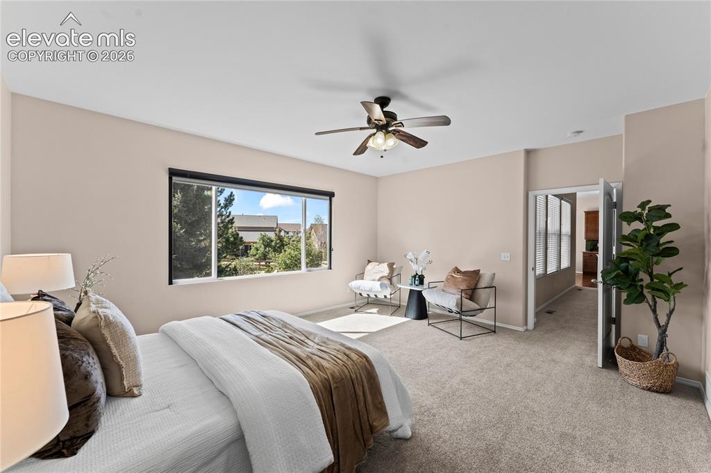 6167 Leon Young Drive Colorado Springs CO 80924