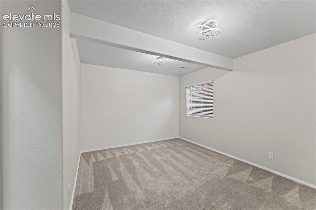 6167 Leon Young Drive Colorado Springs CO 80924