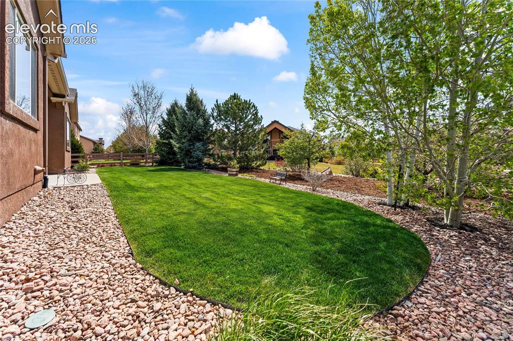 6167 Leon Young Drive Colorado Springs CO 80924