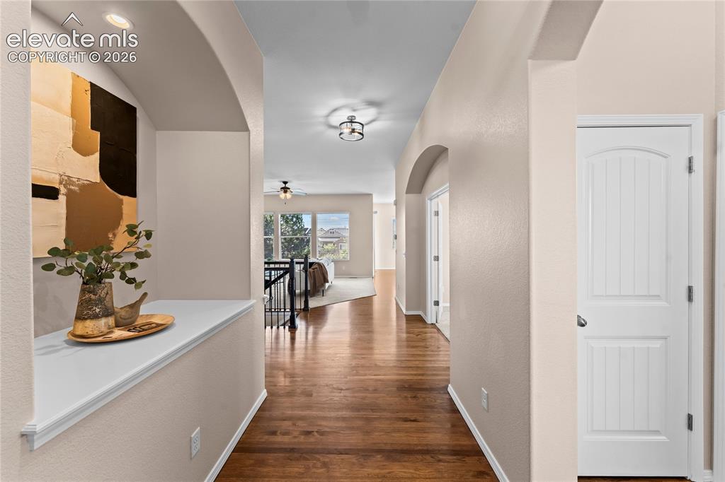 6167 Leon Young Drive Colorado Springs CO 80924