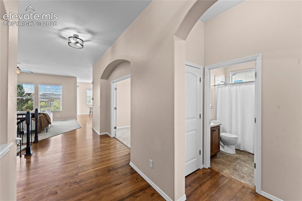 6167 Leon Young Drive Colorado Springs CO 80924