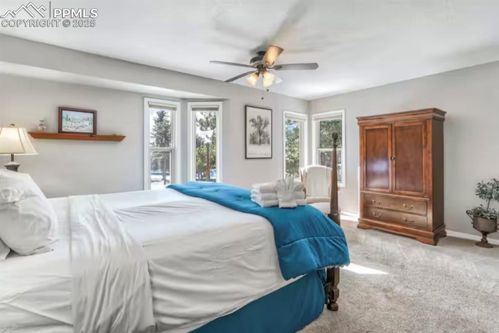 310 Tam O Shanter Way Monument CO 80132