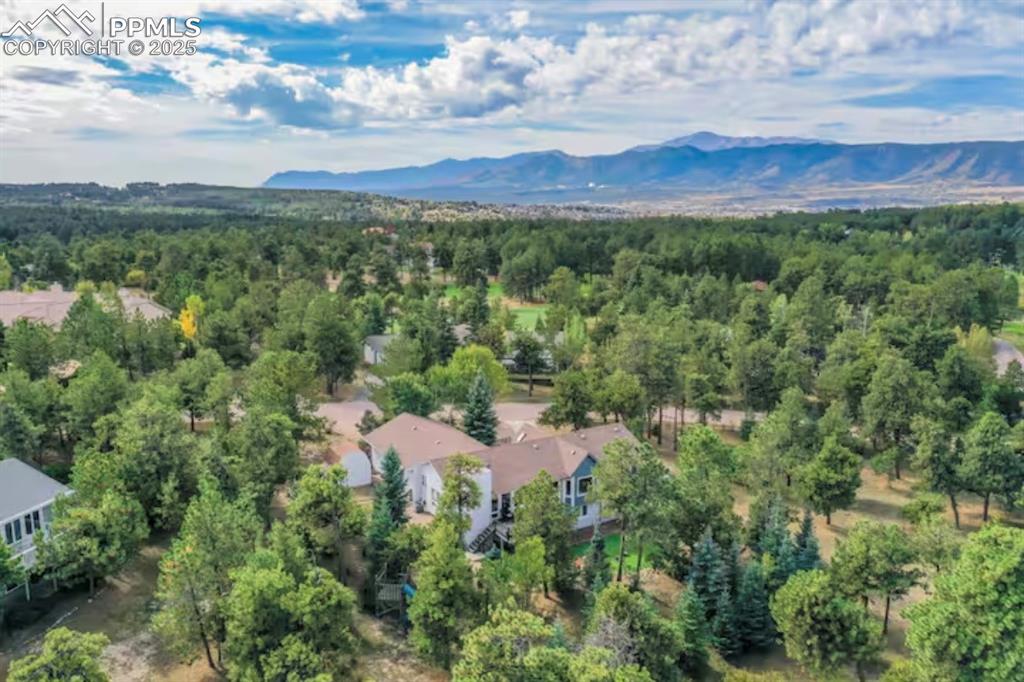 310 Tam O Shanter Way Monument CO 80132