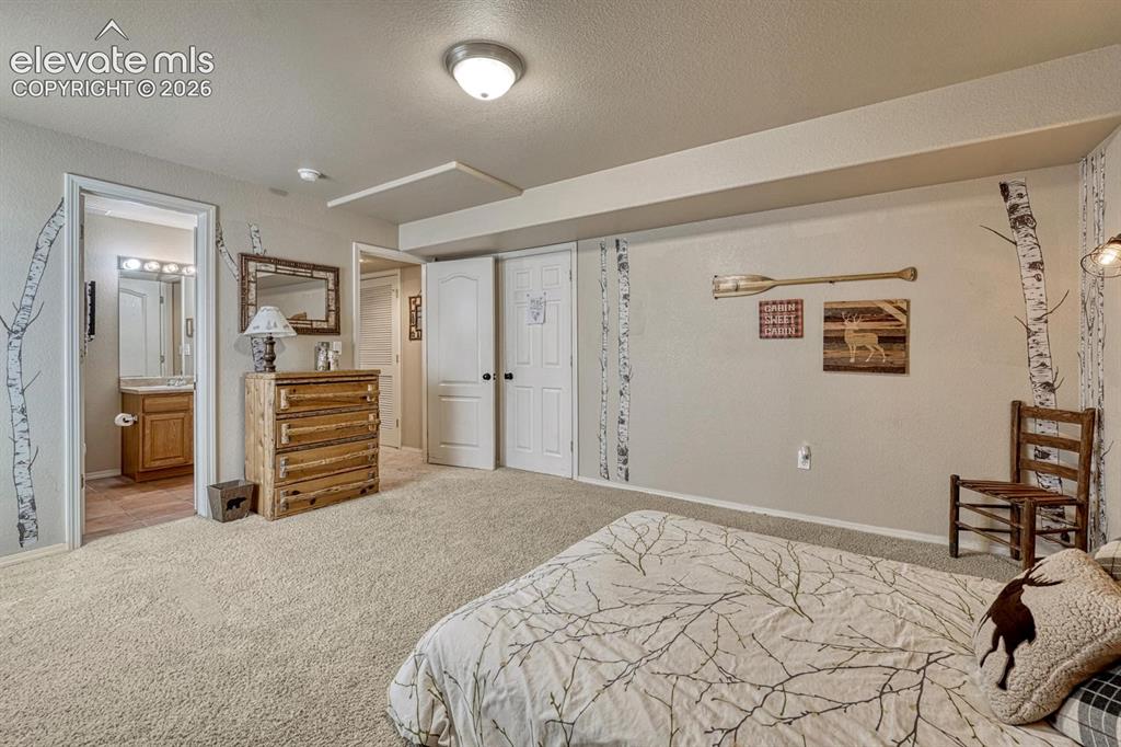 5629 Whiskey River Drive Colorado Springs CO 80923