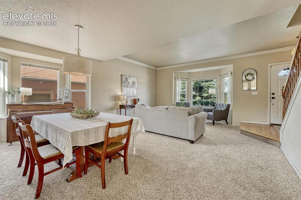 5629 Whiskey River Drive Colorado Springs CO 80923
