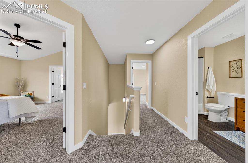 6292 Roundup Butte Street Colorado Springs CO 80925