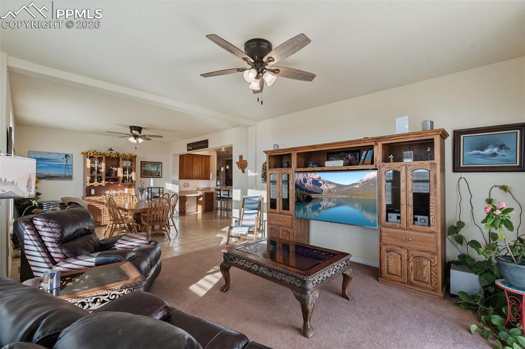 9785 N Rush Road Rush CO 80833