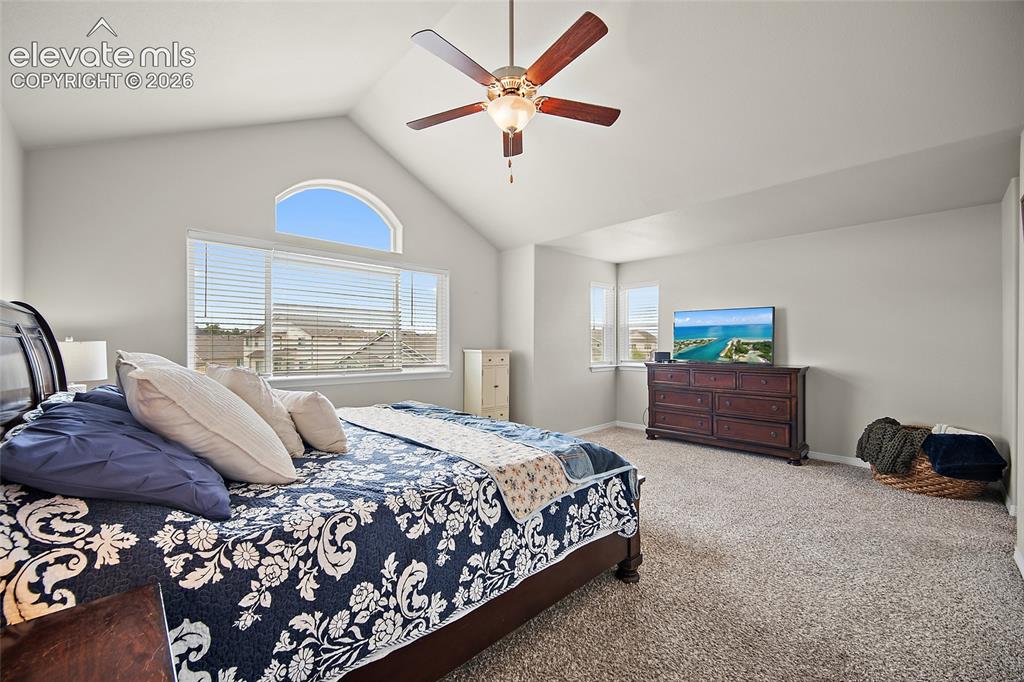 9835 Rubicon Drive Colorado Springs CO 80925