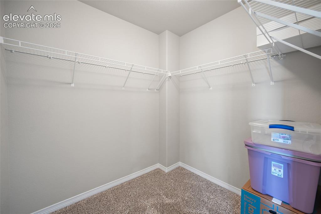 9835 Rubicon Drive Colorado Springs CO 80925