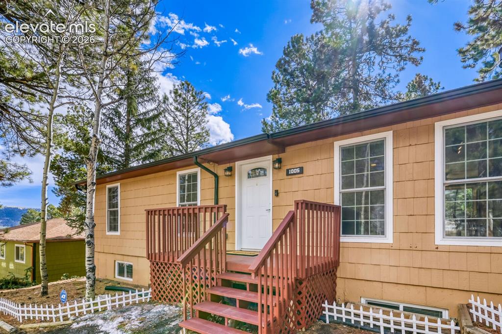1005 W Browning Avenue Woodland Park CO 80863