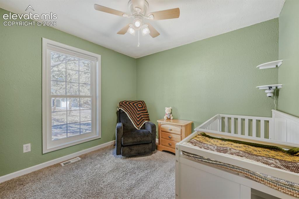1005 W Browning Avenue Woodland Park CO 80863