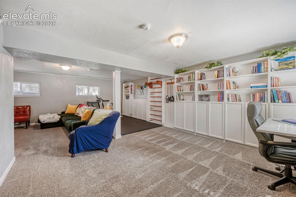 1005 W Browning Avenue Woodland Park CO 80863