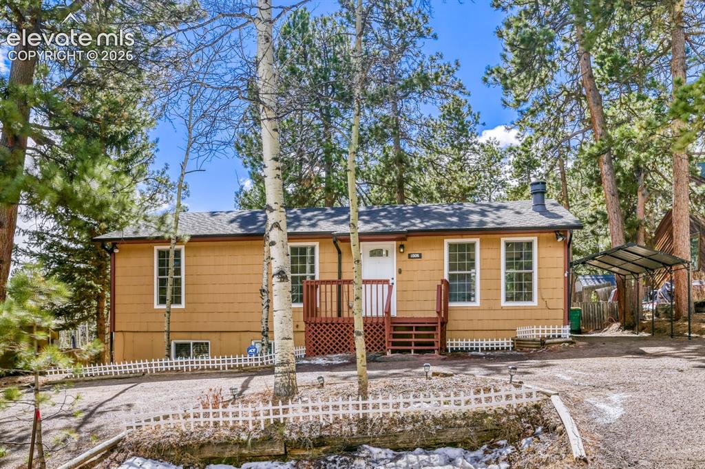 1005 W Browning Avenue Woodland Park CO 80863