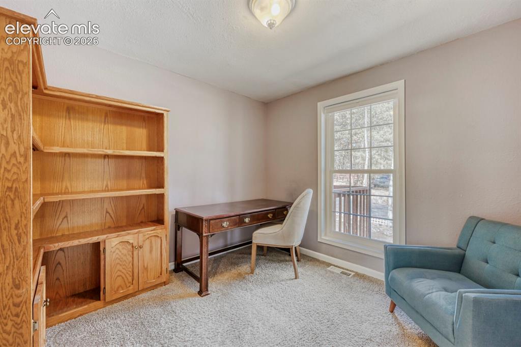1005 W Browning Avenue Woodland Park CO 80863