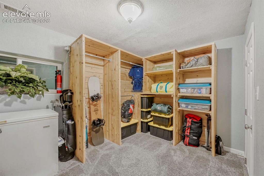 1005 W Browning Avenue Woodland Park CO 80863