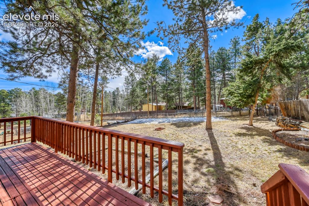 1005 W Browning Avenue Woodland Park CO 80863