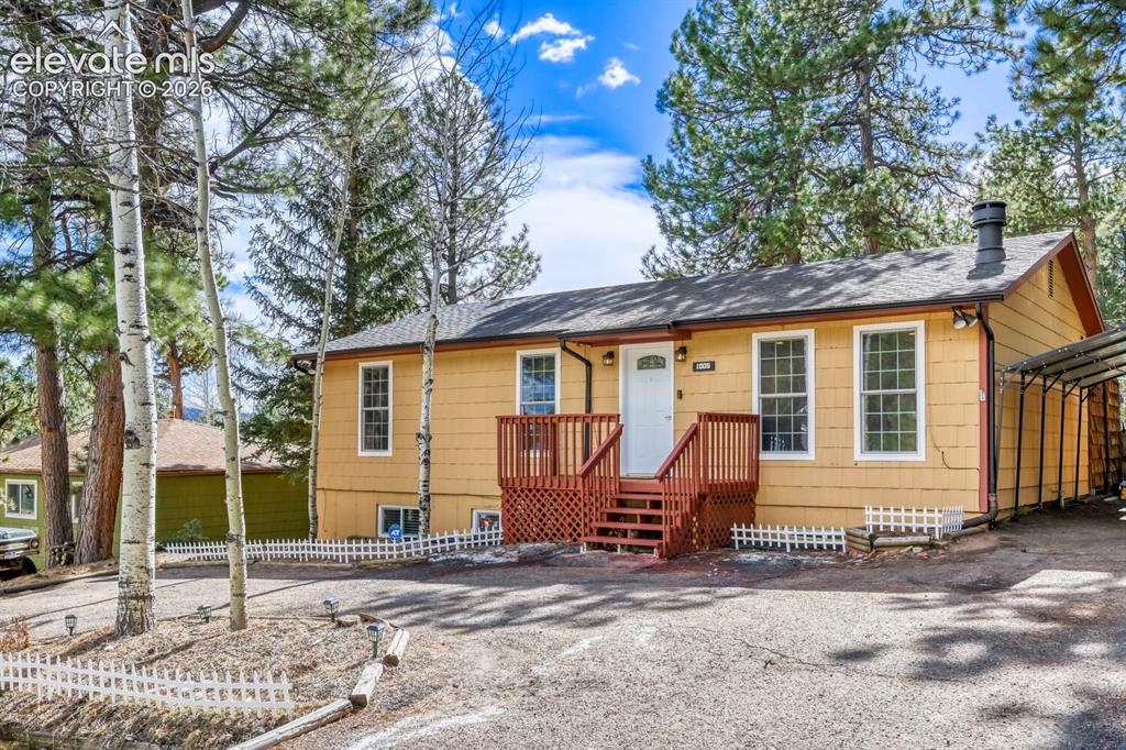 1005 W Browning Avenue Woodland Park CO 80863