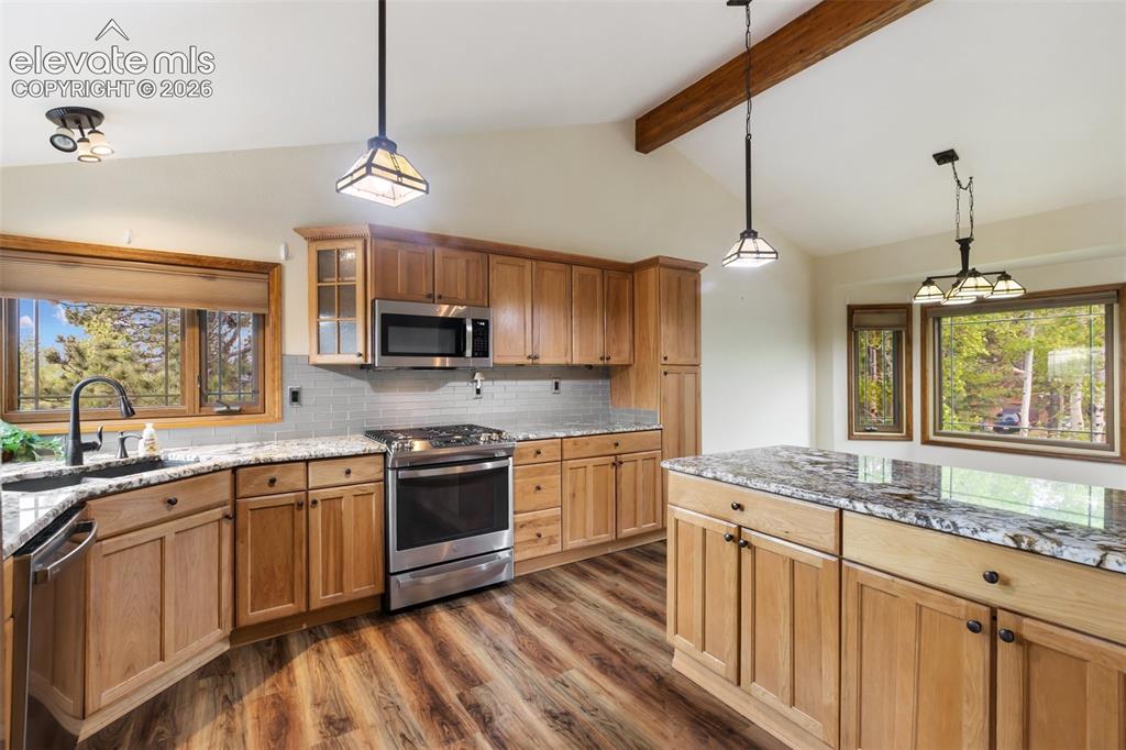 1231 Telemark Drive Woodland Park CO 80863