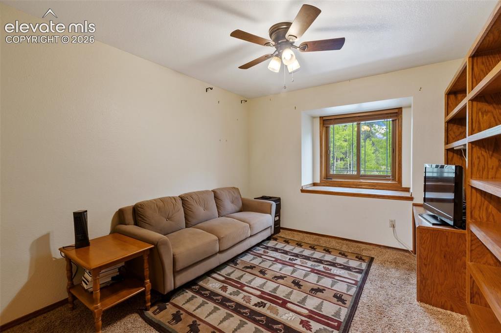 1231 Telemark Drive Woodland Park CO 80863