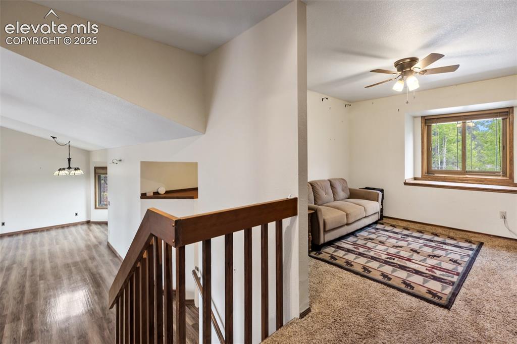 1231 Telemark Drive Woodland Park CO 80863