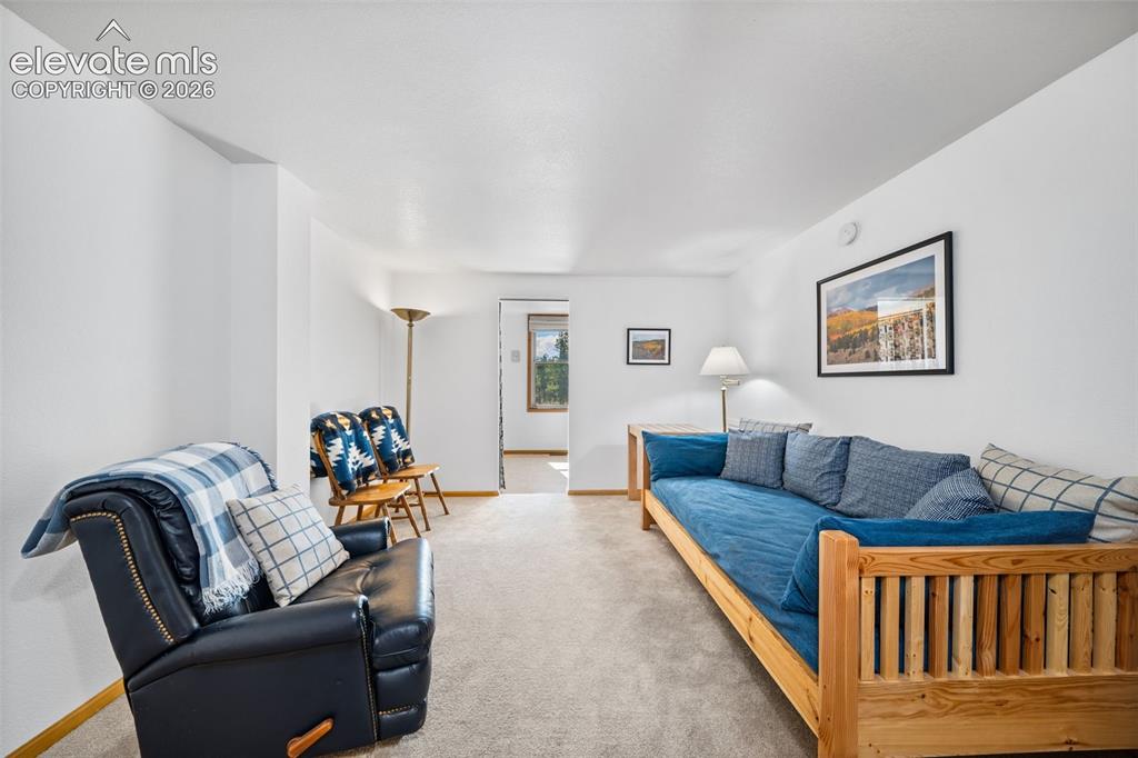 363 Arrowhead Drive Florissant CO 80816