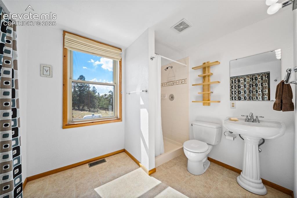 363 Arrowhead Drive Florissant CO 80816